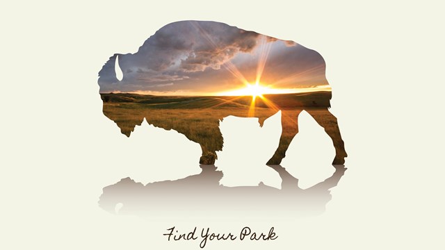 Graphic featuring a silhouette of a bison containing a sunset. Below, text reads, "find your park."