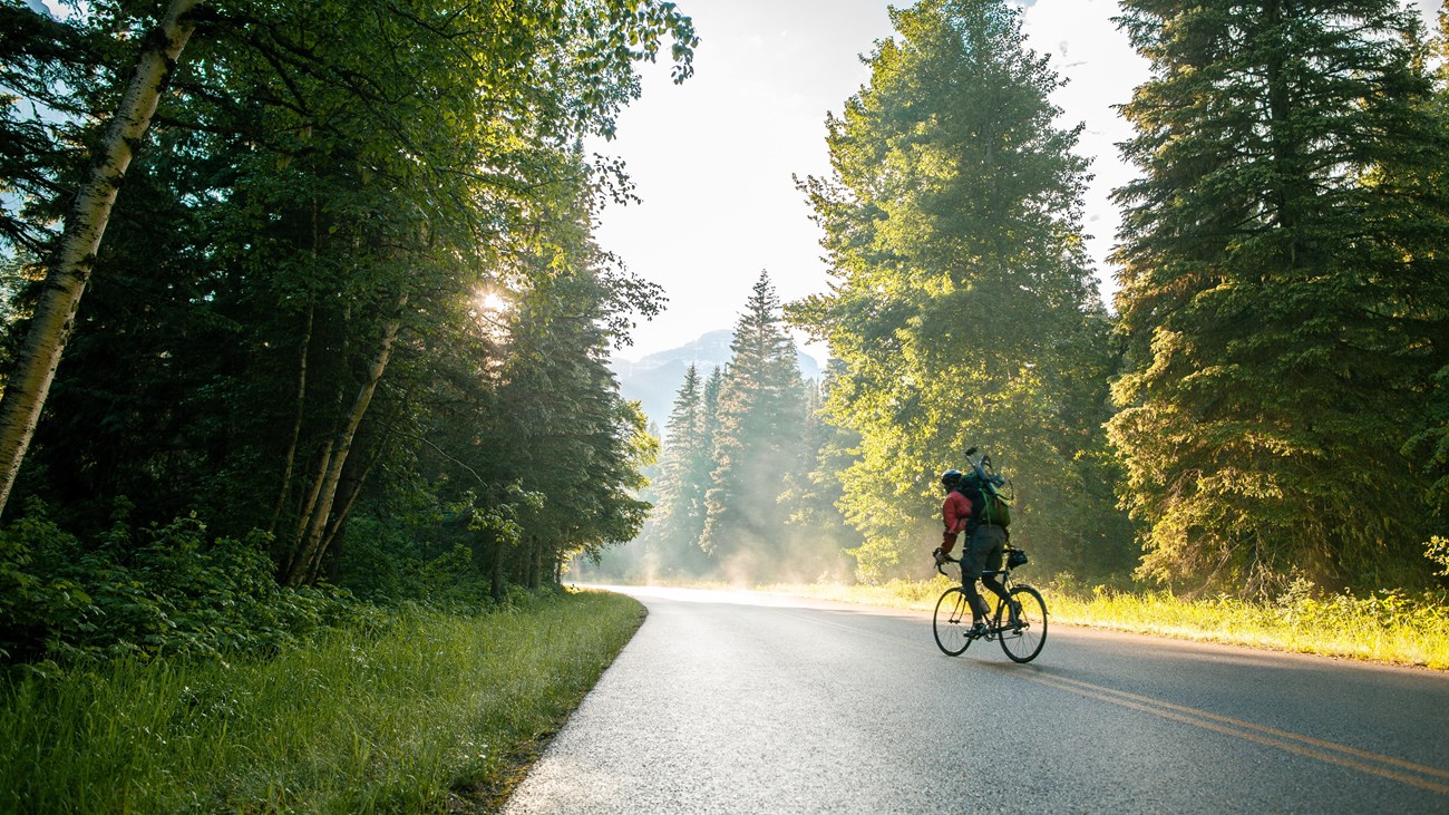 person bikes on a path through green trees on either side