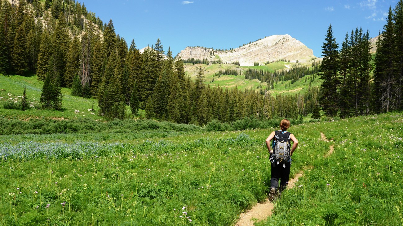 visitor walks down a path in a field of green grass with a boulder in clear view on the horizon