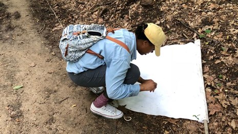 A woman using material on the ground to find ticks.