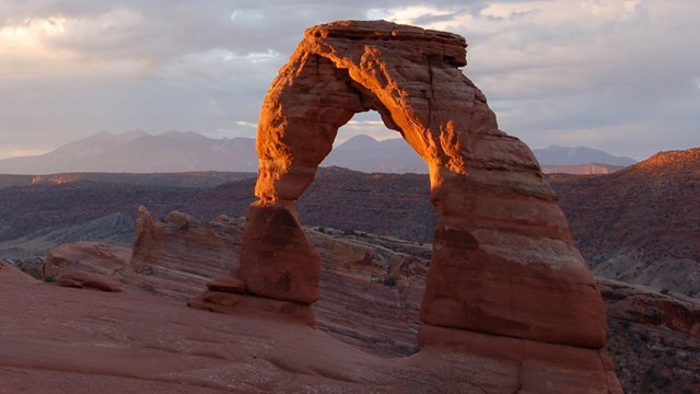 landscape shot of Sand Dunes