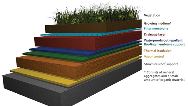 diagram of the layers of a green roof