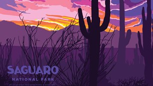 A painting of saguaro cactus at sunset