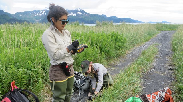 park researchers collect data on trail