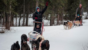 A ranger waves from a dog sled in Denali National Park