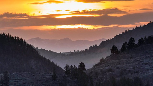 Bright orange sunset behind tree covered hills at Yellowstone NP.