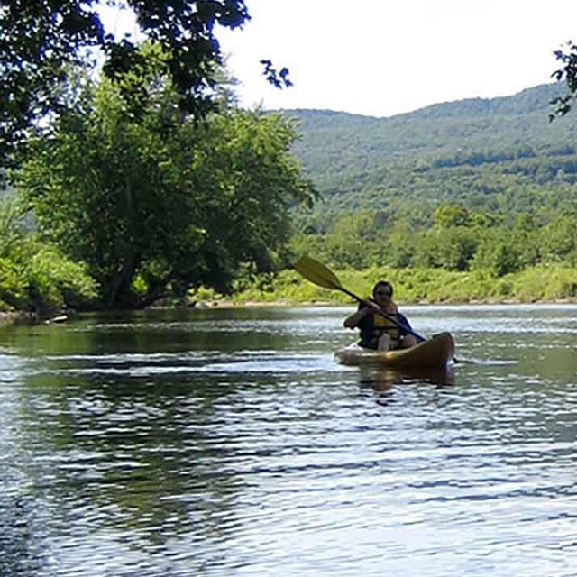 sit on top kayaker in a serene river setting 