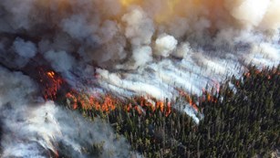 Aerial photo of Yellowstone National Park Response Fire