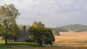 grassy field with two-story farmhouse on left, surrounded by lush trees