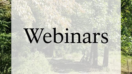 Road cuts through lush forest, reads "Webinars"
