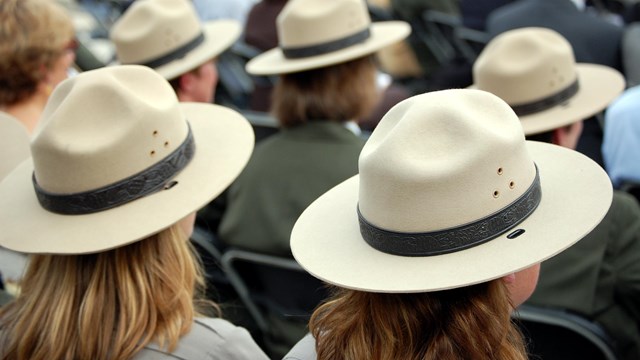 Rangers in grey flathats sit facing away from camera in rows