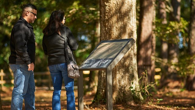 Couple stands in dappled shade of forest, reading sign