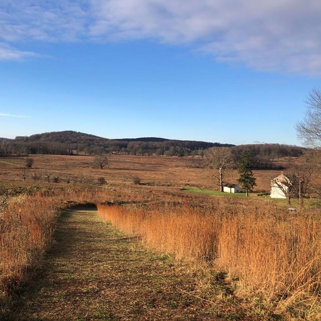 farm