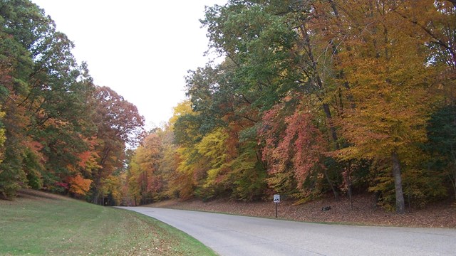 Colonial Parkway in autumn