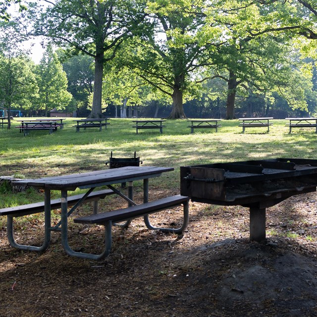 A picnic table and grill in a shady park setting.