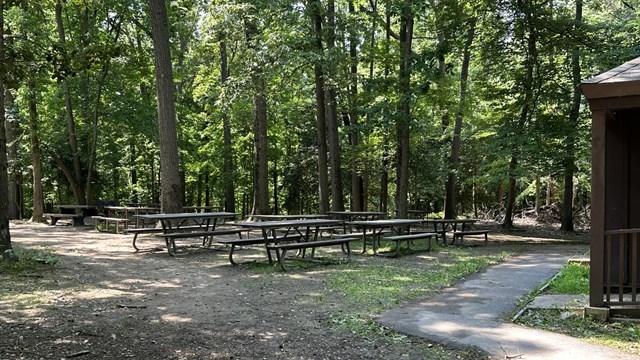 Holly Picnic Area