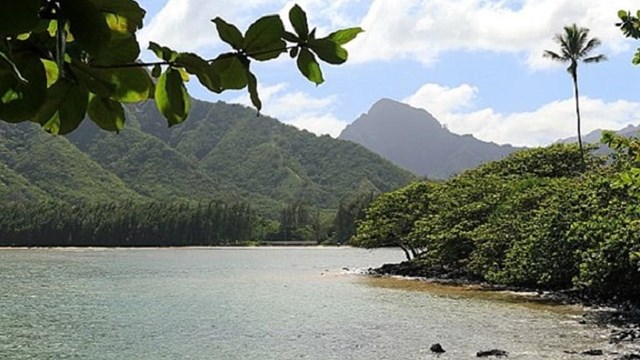 Huilua Pond in  Hawai'i.  Photo by Bob Linsdell, CC BY 3.0