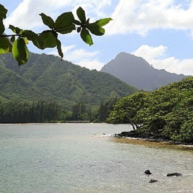 Huilua Pond Photo by Bob Linsdell, CC BY 3.0, 