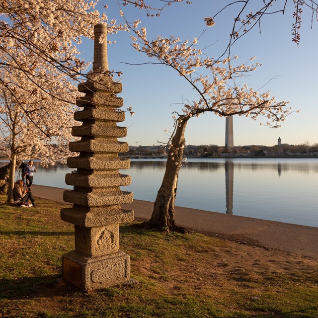 Japanese-style statue in front of a tidal basin and cherry blossoms in bloom 