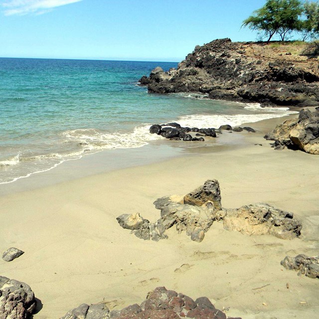 Trail on a beach 