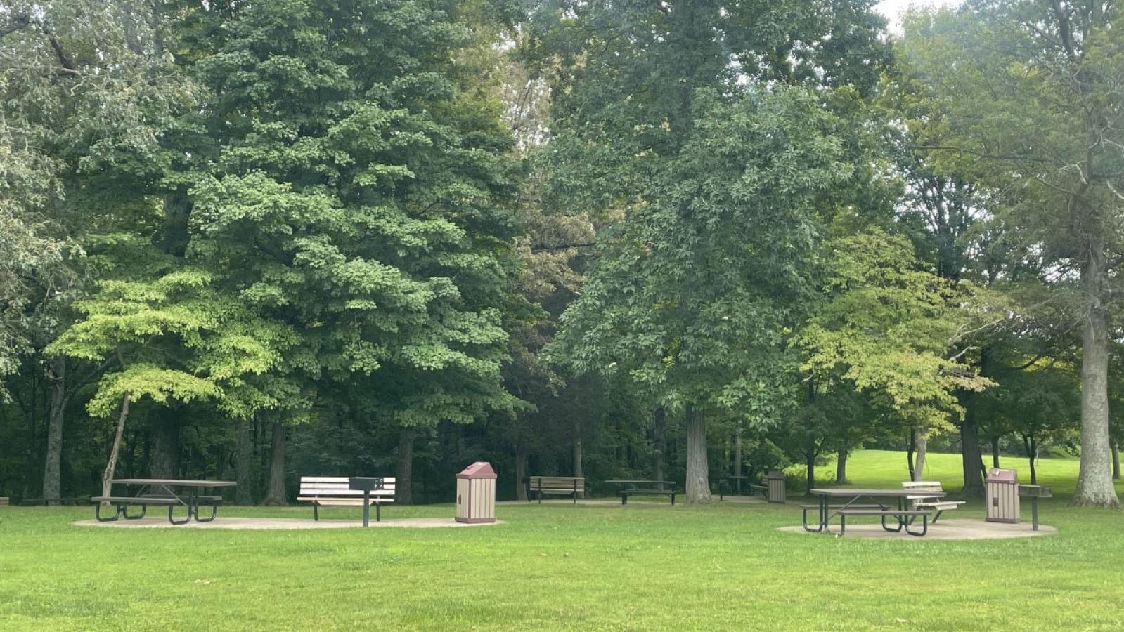 Picnic area pavilion