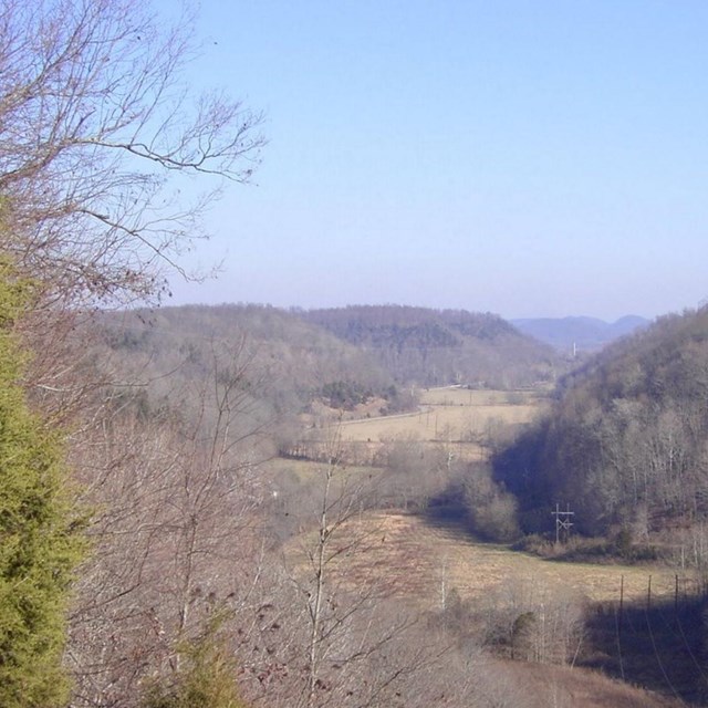 overlook, fall, trees and brown grass