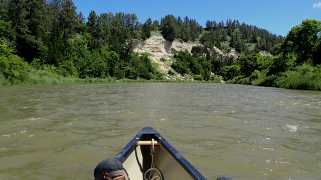 view looking at river from within a canoe