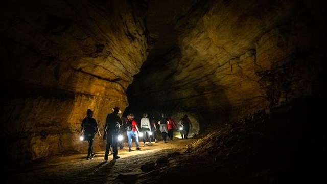 a group of people carrying flashlights in a cave