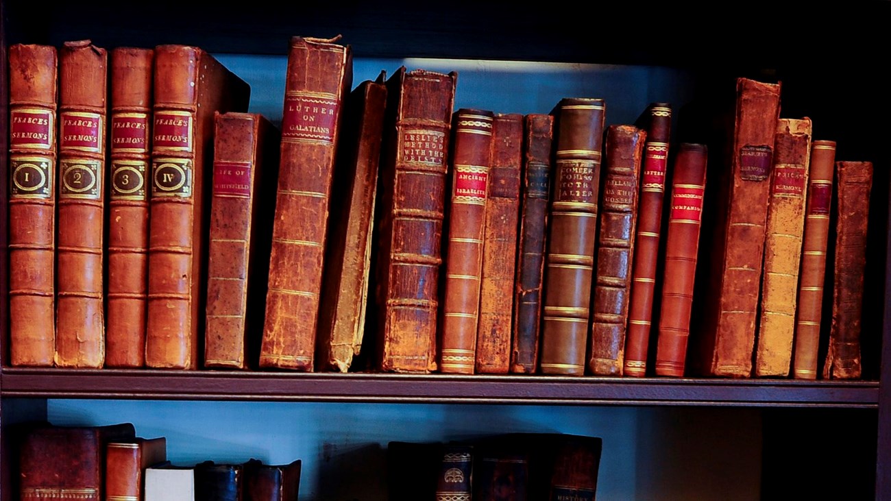 Shelves of books 