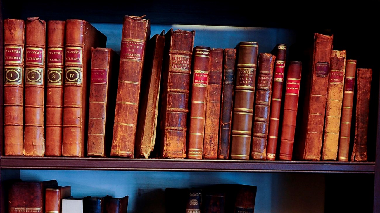 Shelves of books