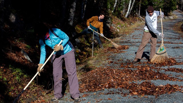 people rake the carriage roads