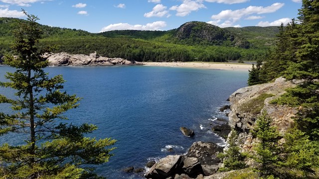 Coastal area with sand beach and forest in background