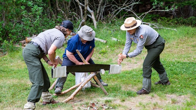 Three women work a saw over a piece of wood