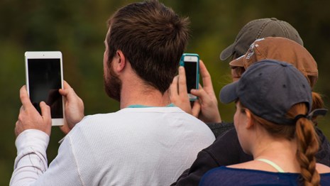 Visitors holding mobile devices in a row