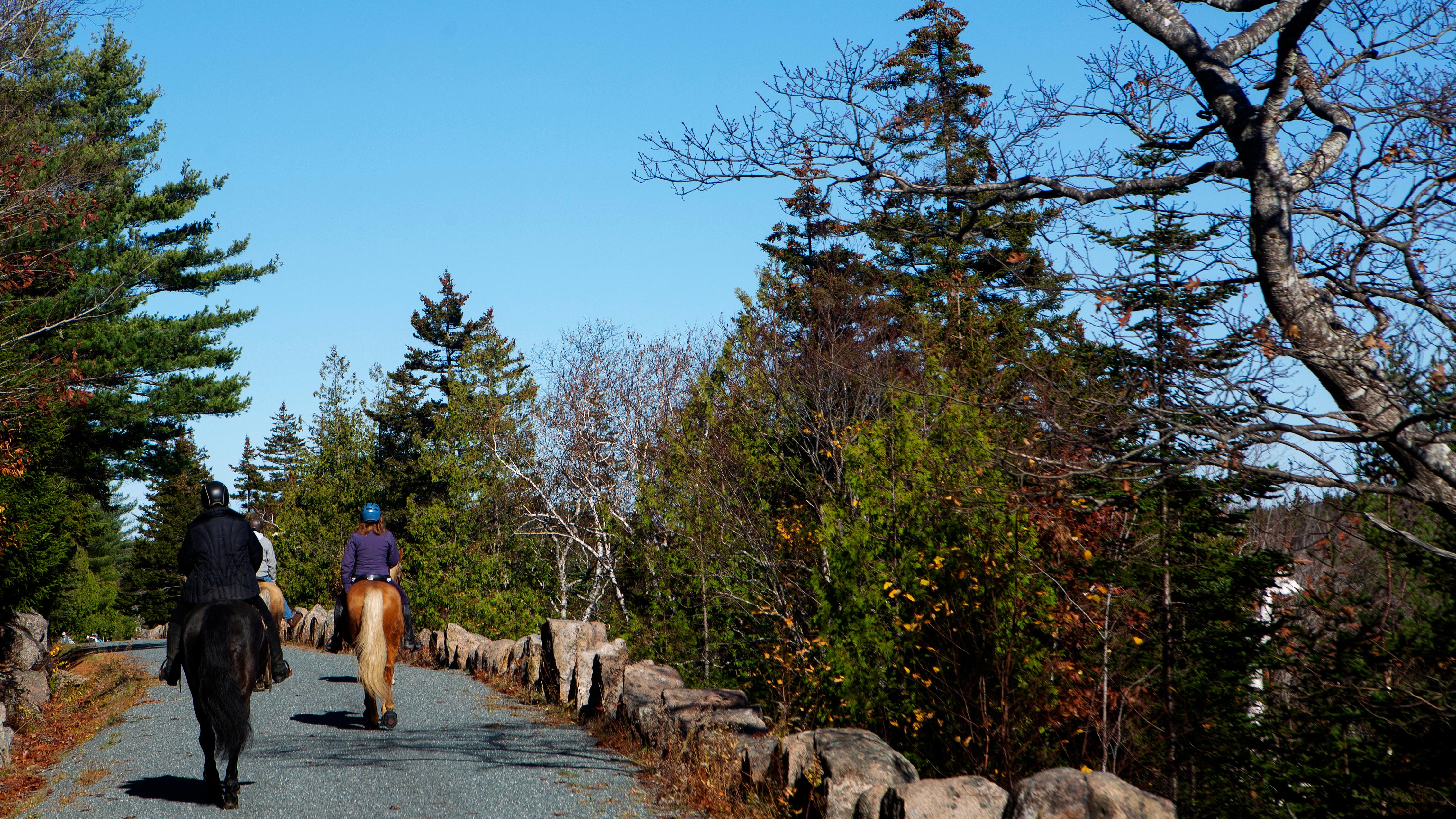 Visitors ride horses along a gravel road