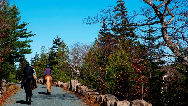 Visitors ride horses along a gravel road