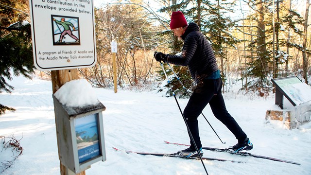Cross-country skier passes a winter safety sign