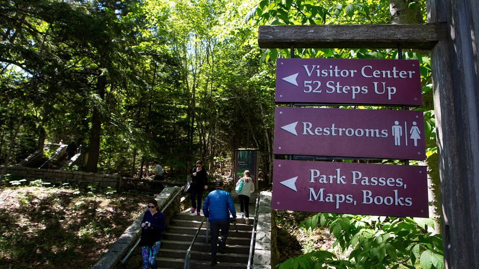 Informational signs in front of a staircase leading up through woods