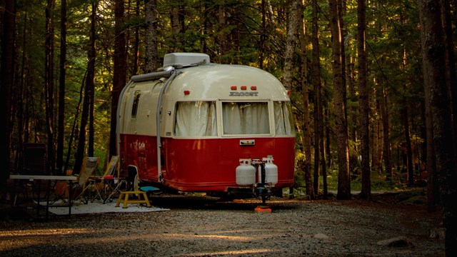 Vintage camper parked in gravel site under a canopy of trees 