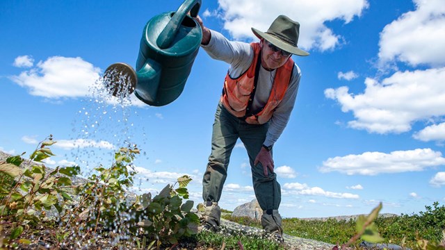 a person waters plants in the outdoors