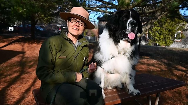 Ranger sits next to giant dog on picnic table