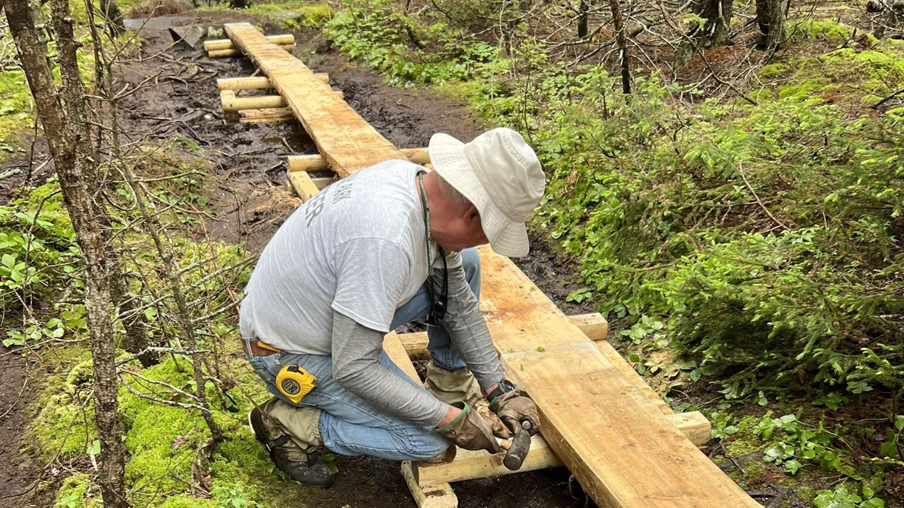 A man in a sunhat works on a simple boardwalk going through a bog.