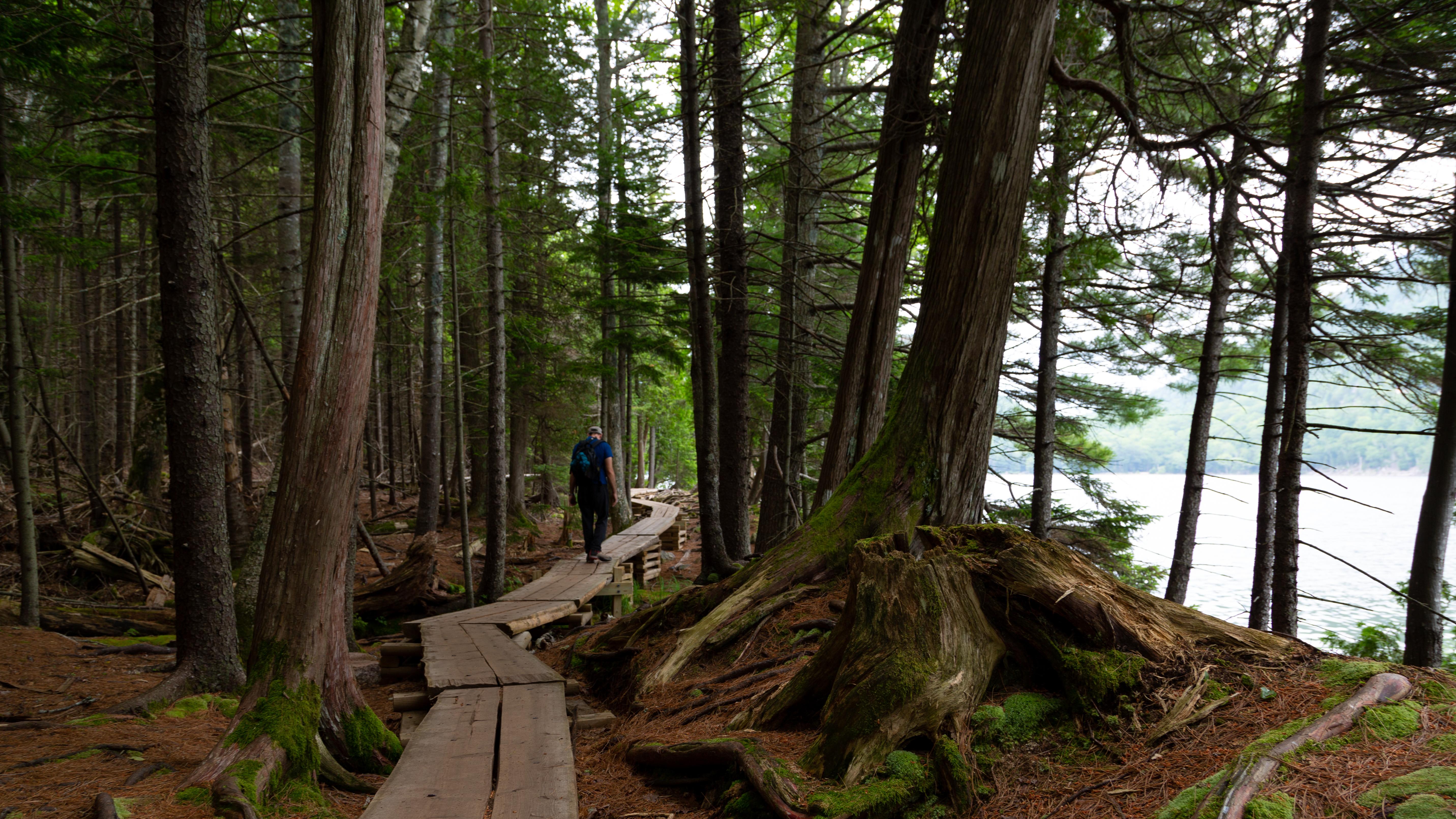 Person on boardwalk along lake in Acadia