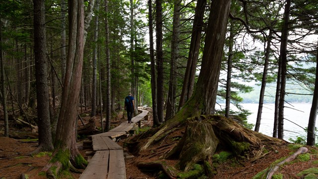 Person walking on a boardwalk along lake