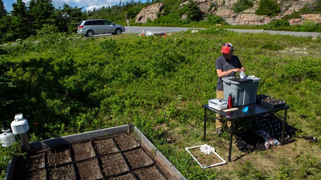 a researcher stands at a table surrounded by green plants, rocks in the background