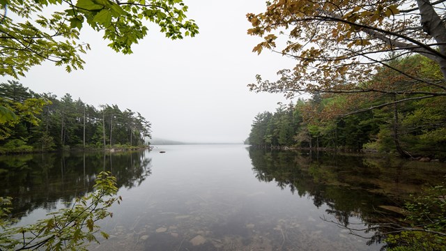 A lake surrounded by trees with an overcast sky