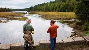 two men stand talking to each other in front of a wetland
