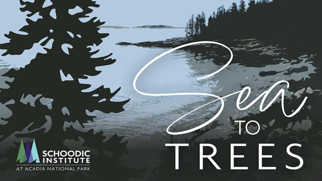 Podcast graphic: Stylized coastline with a silhouette of a tree in foreground and text