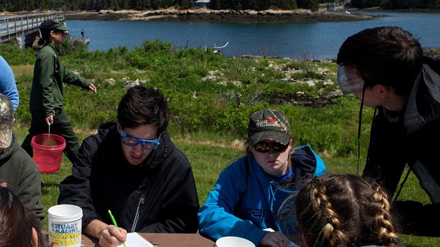 A group of individuals at a table study in front of a lake