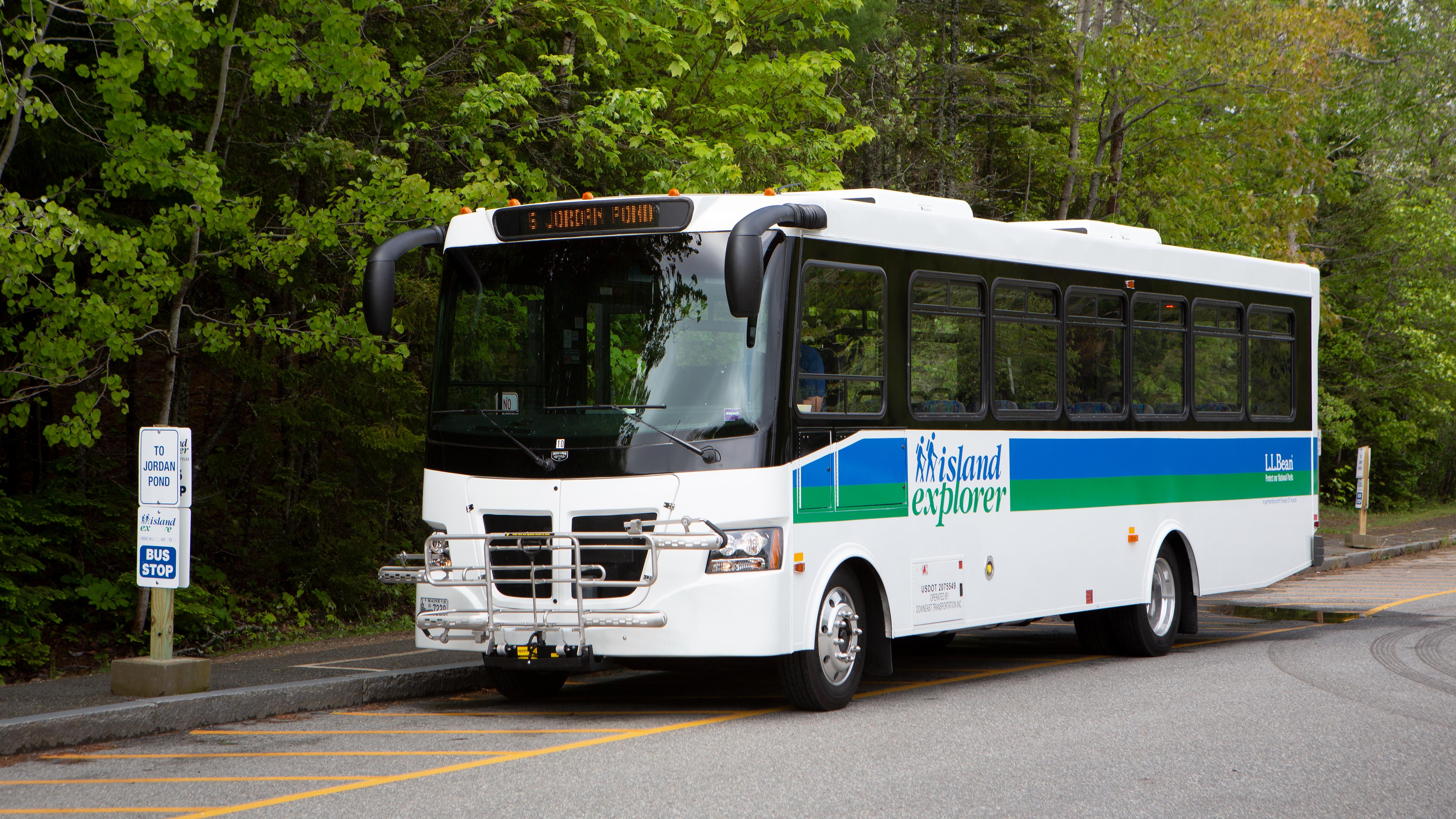 Large white bus with blue and white stripes parked next to a curb in front of dense shrubbery